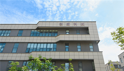 Uchafbwyntiau Blynyddol 2025